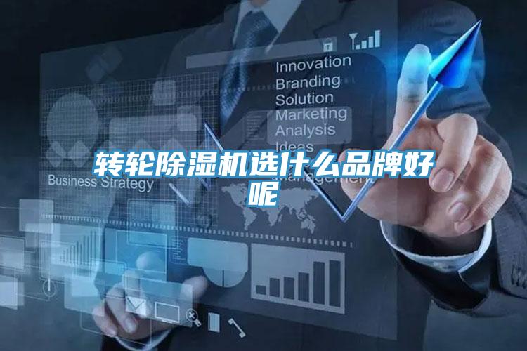 轉輪PICACG哔咔官网入口選什麽品牌好呢