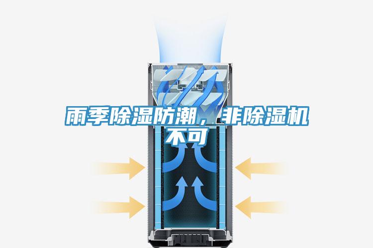 雨季除濕防潮，非PICACG哔咔官网入口不可