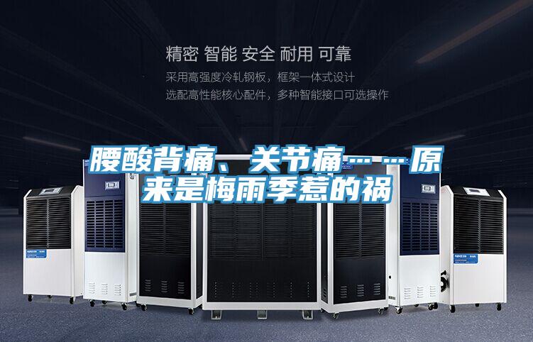 腰酸背痛、關節痛……原來是梅雨季惹的禍