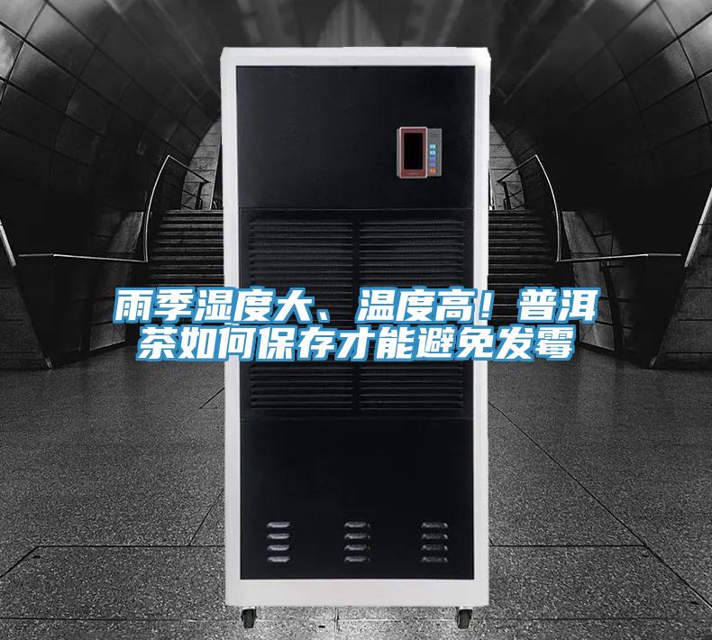 雨季濕度大、溫度高！普洱茶如何保存才能避免發黴