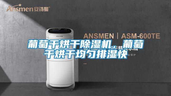 葡萄幹烘幹PICACG哔咔官网入口，葡萄幹烘幹均勻排濕快