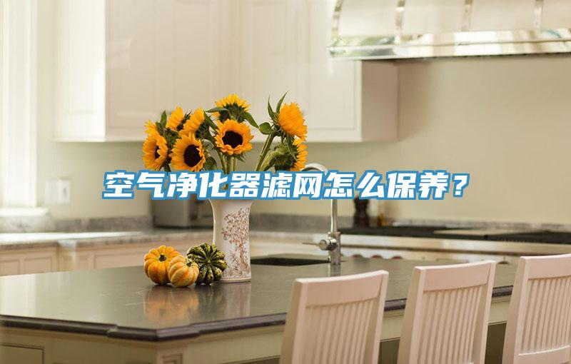 空氣淨化器濾網怎麽保養？