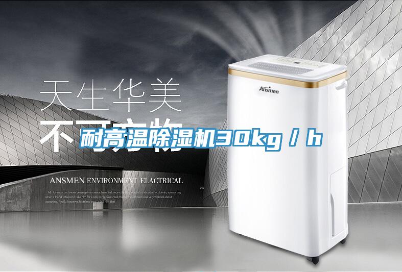 耐高溫PICACG哔咔官网入口30kg／h
