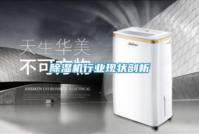 PICACG哔咔官网入口行業現狀剖析