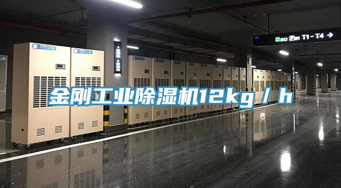 金剛工業PICACG哔咔官网入口12kg／h