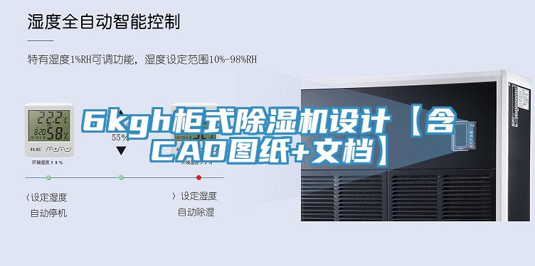 6kgh櫃式PICACG哔咔官网入口設計【含CAD圖紙+文檔】