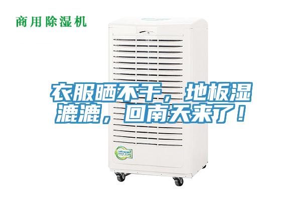 衣服曬不幹，地板濕漉漉，回南天來了！