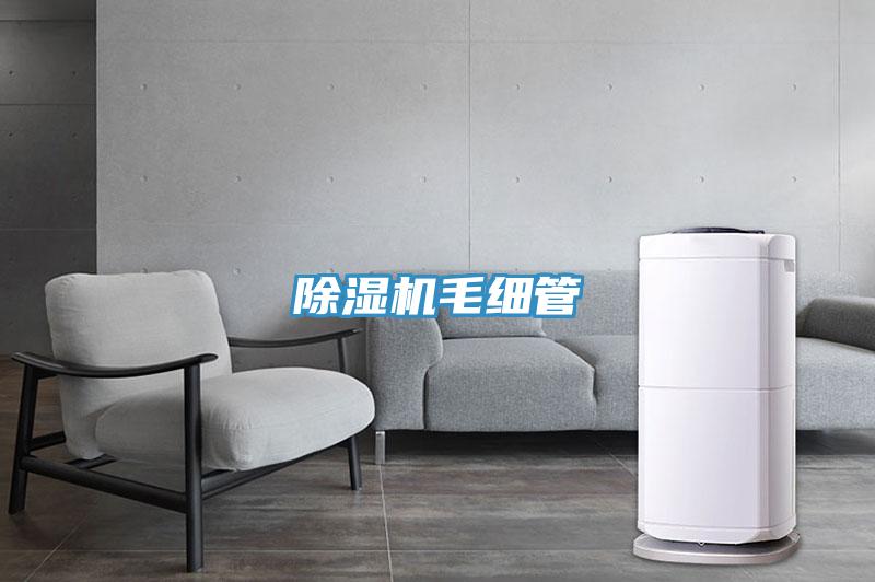 PICACG哔咔官网入口毛細管