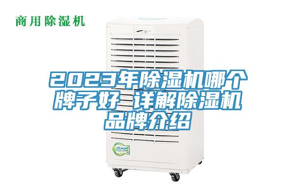 2023年PICACG哔咔官网入口哪個牌子好 詳解PICACG哔咔官网入口品牌介紹
