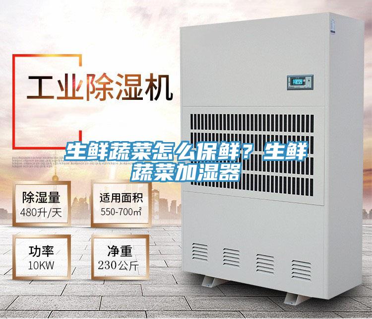 生鮮蔬菜怎麽保鮮？生鮮蔬菜加濕器