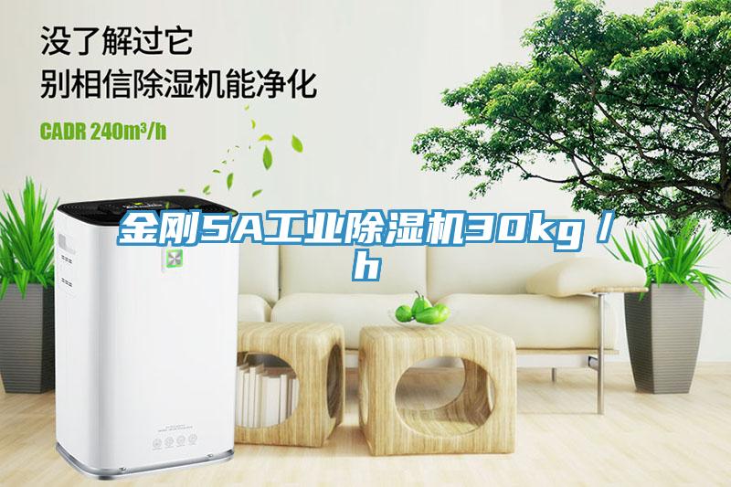 金剛5A工業PICACG哔咔官网入口30kg／h