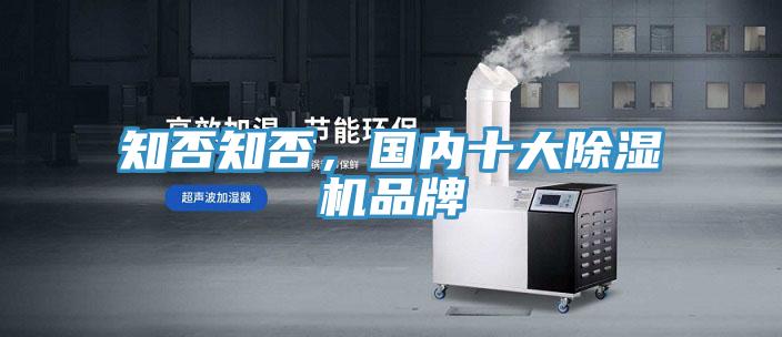 知否知否，國內十大PICACG哔咔官网入口品牌