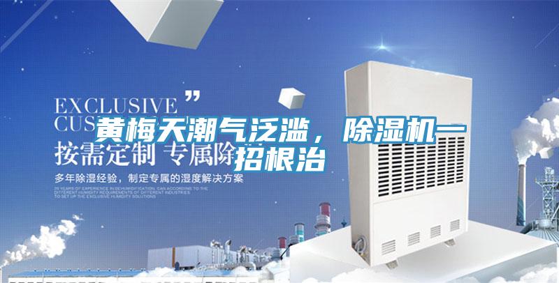 黃梅天潮氣泛濫，PICACG哔咔官网入口一招根治