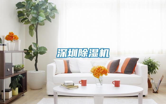 深圳PICACG哔咔官网入口