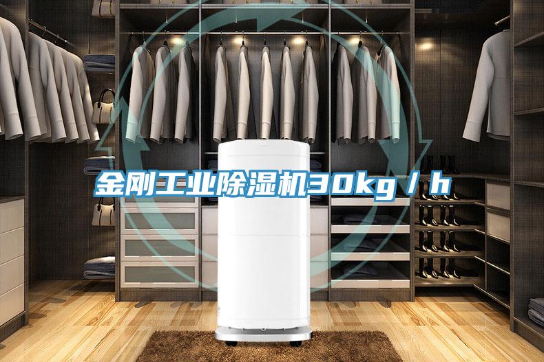 金剛工業PICACG哔咔官网入口30kg／h
