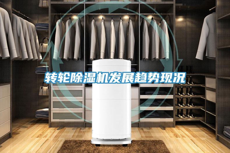 轉輪PICACG哔咔官网入口發展趨勢現況