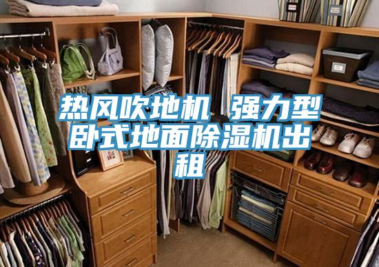 熱風吹地機 強力型臥式地麵PICACG哔咔官网入口出租