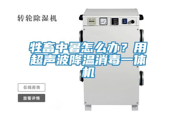 牲畜中暑怎麽辦？用超聲波降溫消毒一體機