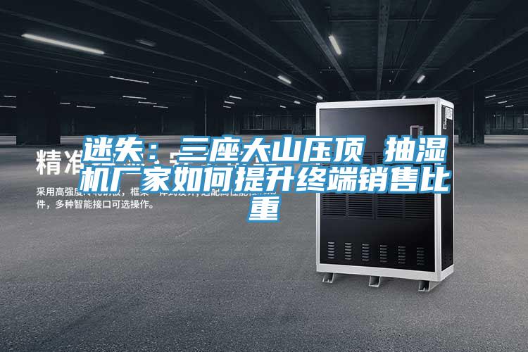 迷失：三座大山壓頂 抽濕機廠家如何提升終端銷售比重
