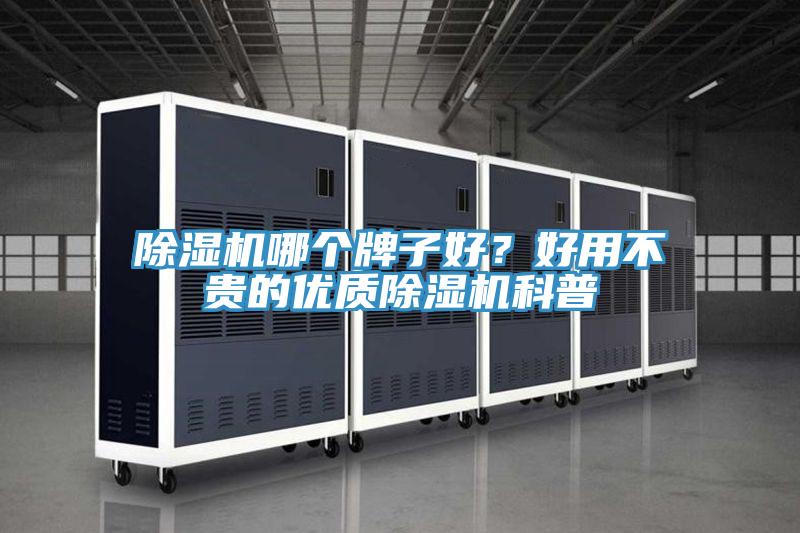 PICACG哔咔官网入口哪個牌子好？好用不貴的優質PICACG哔咔官网入口科普