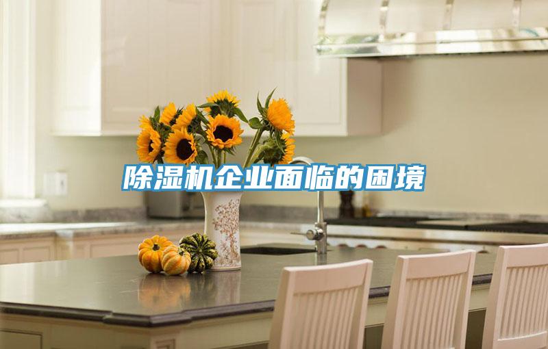 PICACG哔咔官网入口企業麵臨的困境