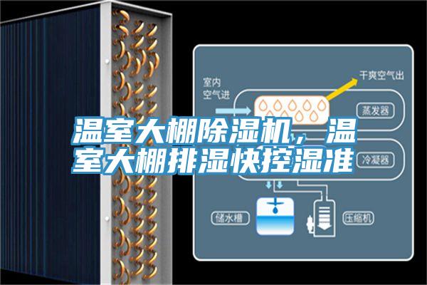 溫室大棚PICACG哔咔官网入口，溫室大棚排濕快控濕準