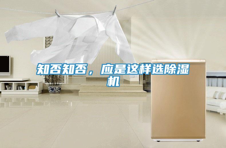 知否知否，應是這樣選PICACG哔咔官网入口