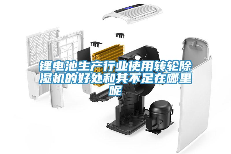 鋰電池生產行業使用轉輪PICACG哔咔官网入口的好處和其不足在哪裏呢