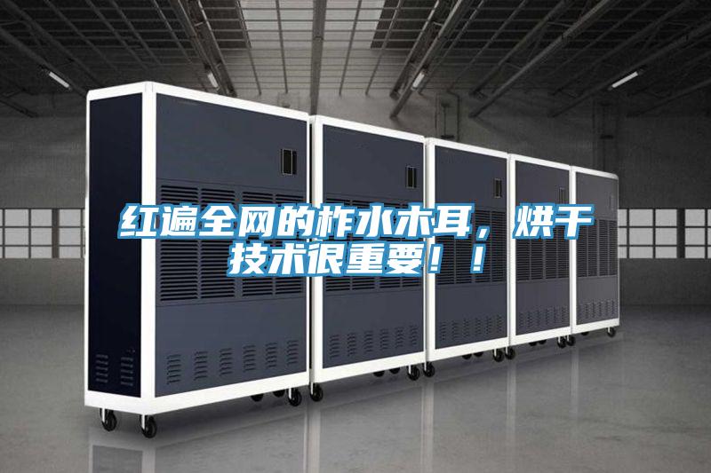 紅遍全網的柞水木耳，烘幹技術很重要！！