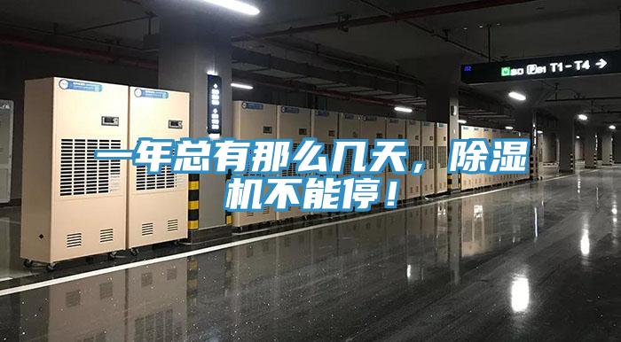 一年總有那麽幾天，PICACG哔咔官网入口不能停！