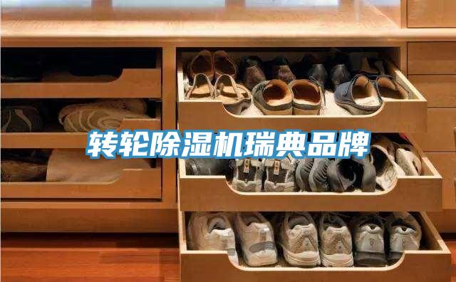 轉輪PICACG哔咔官网入口瑞典品牌