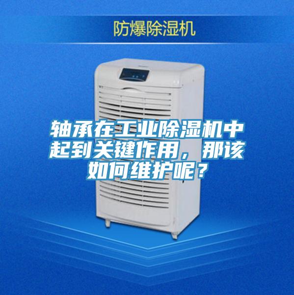 軸承在工業PICACG哔咔官网入口中起到關鍵作用，那該如何維護呢？