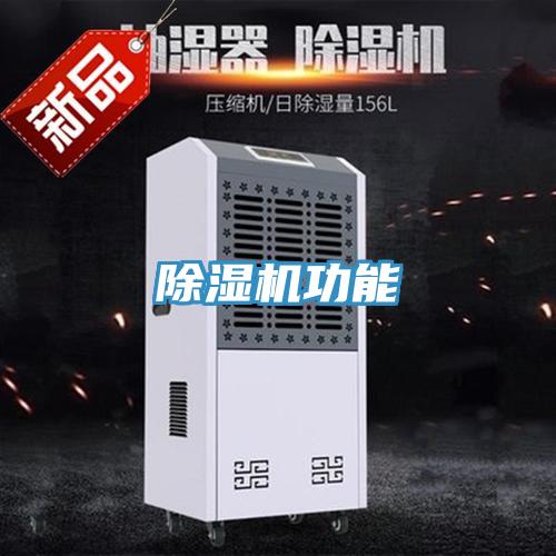 PICACG哔咔官网入口功能