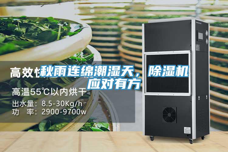 秋雨連綿潮濕天，PICACG哔咔官网入口應對有方