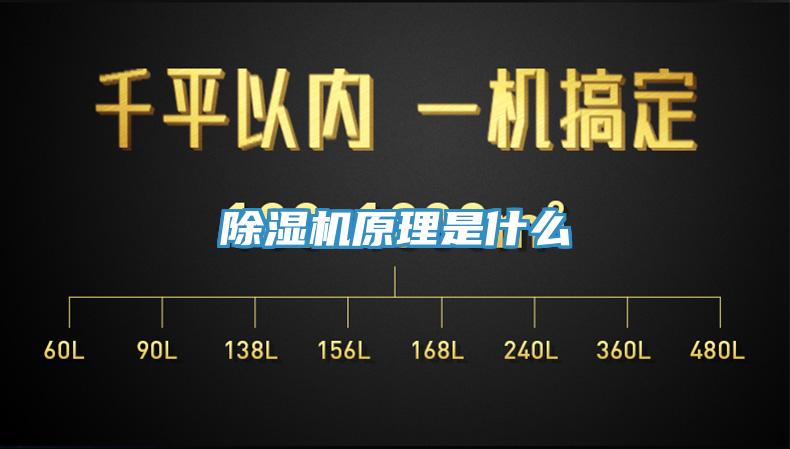 PICACG哔咔官网入口原理是什麽