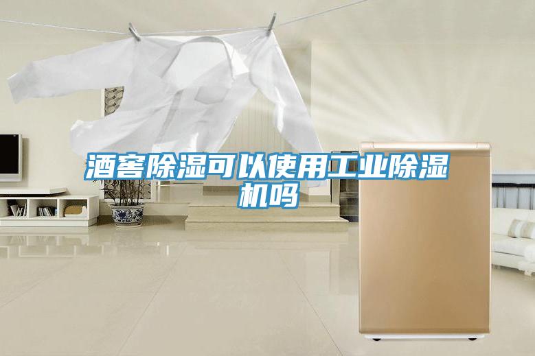 酒窖除濕可以使用工業PICACG哔咔官网入口嗎