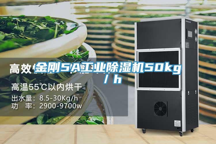 金剛5A工業PICACG哔咔官网入口50kg／h