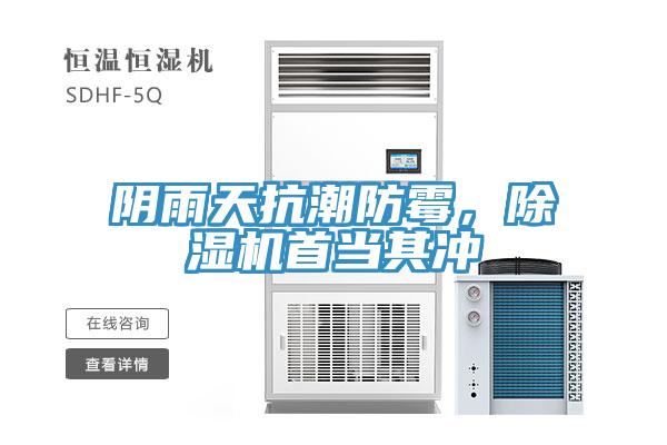 陰雨天抗潮防黴，PICACG哔咔官网入口首當其衝