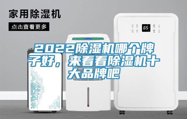 2022PICACG哔咔官网入口哪個牌子好，來看看PICACG哔咔官网入口十大品牌吧