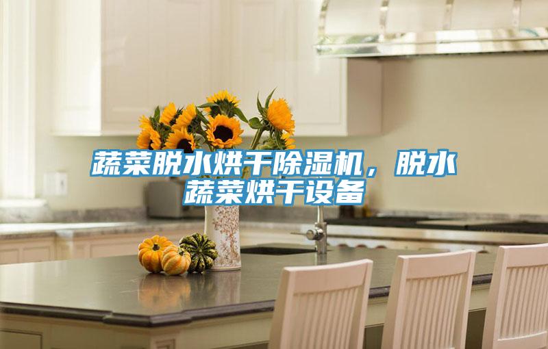 蔬菜脫水烘幹PICACG哔咔官网入口，脫水蔬菜烘幹設備