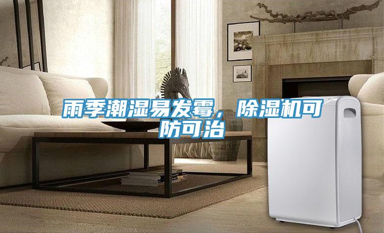 雨季潮濕易發黴，PICACG哔咔官网入口可防可治