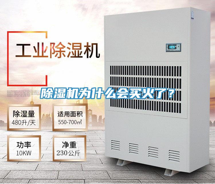 PICACG哔咔官网入口為什麽會買火了？