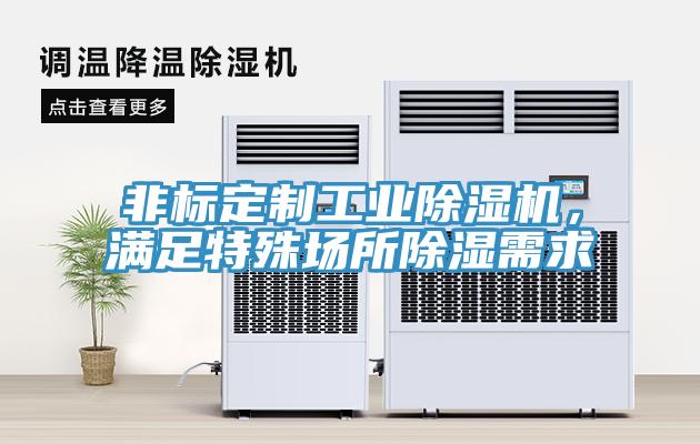 非標定製工業PICACG哔咔官网入口，滿足特殊場所除濕需求