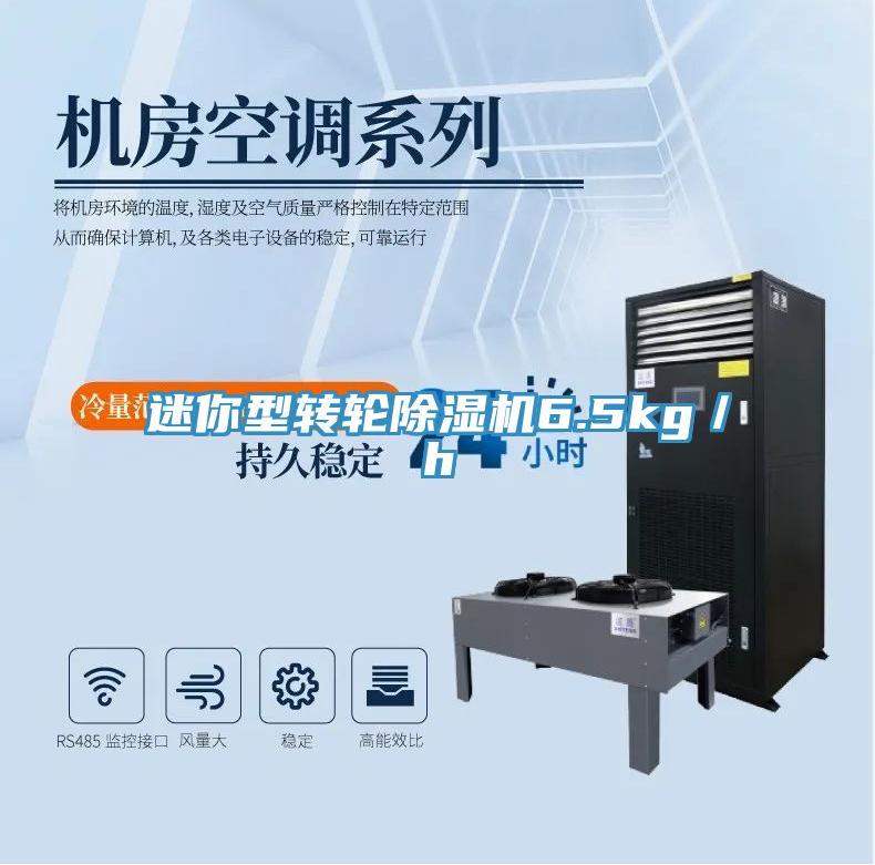 迷你型轉輪PICACG哔咔官网入口6.5kg／h