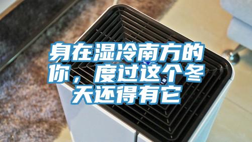 身在濕冷南方的你，度過這個冬天還得有它
