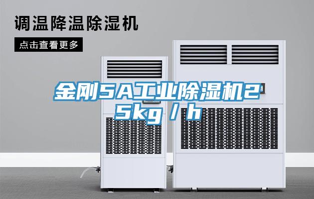 金剛5A工業PICACG哔咔官网入口25kg／h