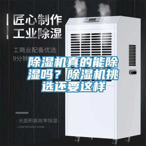 PICACG哔咔官网入口真的能除濕嗎？PICACG哔咔官网入口挑選還要這樣