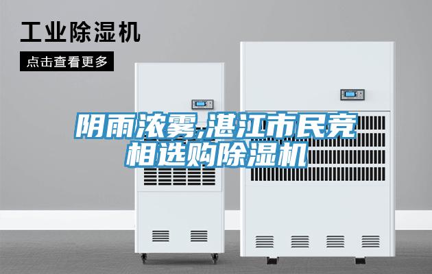 陰雨濃霧,湛江市民競相選購PICACG哔咔官网入口