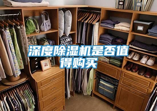 深度PICACG哔咔官网入口是否值得購買