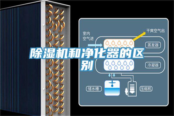 PICACG哔咔官网入口和淨化器的區別